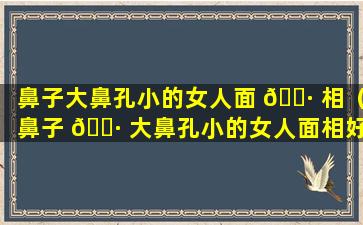 鼻子大鼻孔小的女人面 🕷 相（鼻子 🌷 大鼻孔小的女人面相好不好）